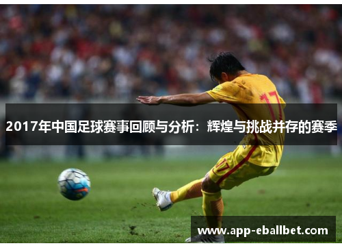 2017年中国足球赛事回顾与分析：辉煌与挑战并存的赛季